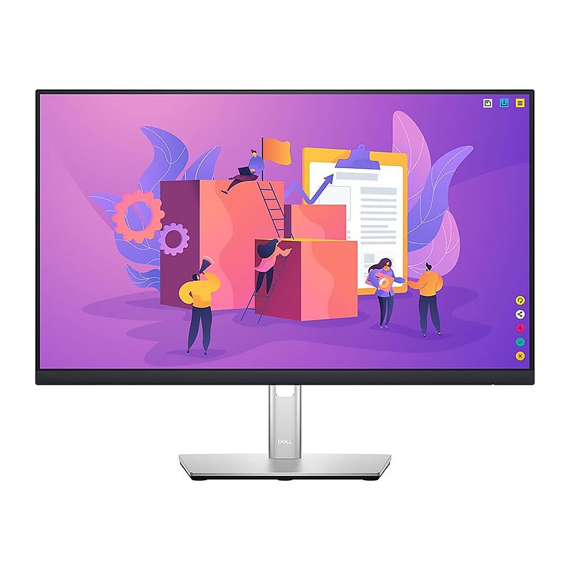 DELL P2422H 24 inch LED Monitor